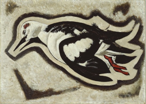 aic-american:  Portrait of a Sea Dove—Dead, Marsden Hartley,