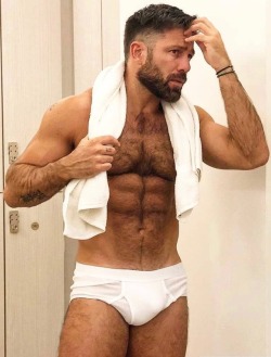 GAY BEAR FOR CHASERS