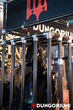 dungorium: Rubberslave at Dungorium Boundcon Munich