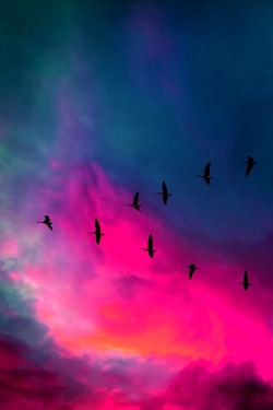 kushandwizdom:  More photography here
