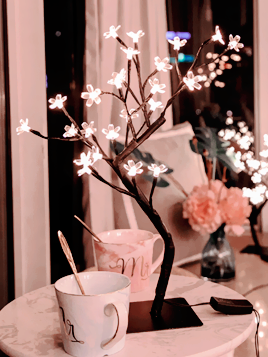 hanae-in-wonderland:❀ Cherryblossom Sakura Night Light Lamp ❀↪