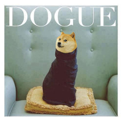 dulect:  Fun Fact: there’s actually a store called dogue 