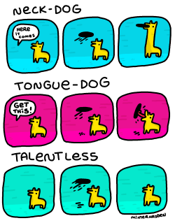 misterhayden:   CHECK OUT THESE TALENTED DOGS.  