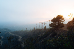 christopher-mongeau:  Hollywood, CA