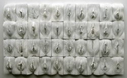 messiahsexperts:   UK artist, Jamie McCartney, created plaster casts of 400 individual vulvae of women from ages 18-76 years old to produce The Great Wall of Vagina.  Just cuz we all need to learn more about the great wall of vagina and that the plural