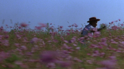 hirxeth: The Color Purple (1985) dir. Steven Spielberg 