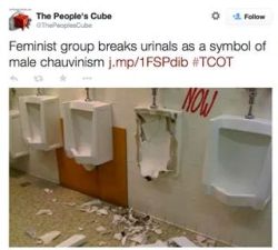 anti-feminism-pro-equality:  destruction of property for a political