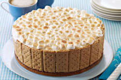 thecakebar:  Ice Cream S’mores Cake Tutorial