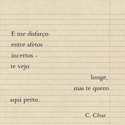 frases, poesias e afins