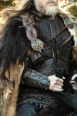 vikings-shieldmaiden:  King Horik, costume appreciation x   Want