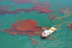 trefoiled:  A ship skims oil off the surface of the Gulf of Mexico