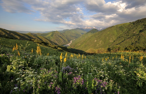 expressions-of-nature:Altai Mountains by Sergio