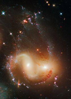 tessladapanda:  NGC 7318A pair of colliding galaxies that are