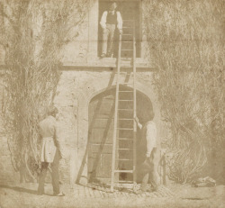 museumuesum:  WILLIAM HENRY FOX TALBOT The Ladder, 1845 Salted