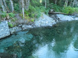 appassi0nata:  A river my cousins and I went over on our walk