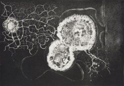 arsvivendi:  Etchings by Susan Aldworth 