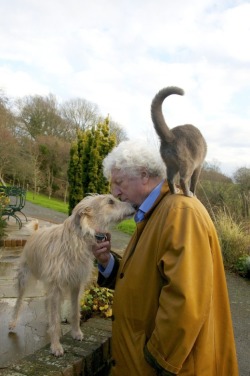 vaguelyhuman:  Good ol’ Tom, his dog Poppy and his crazy cat.