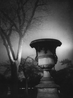 onlyoldphotography:  Brassaï: Le jardin des Tuileries la nuit,