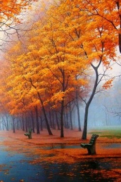 luca701:  Adoro l'autunno… 