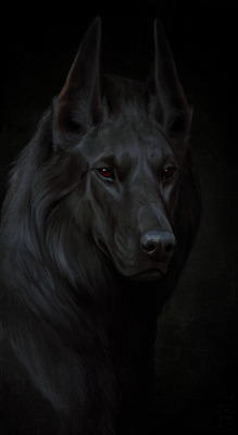 orifice-torture: black dog by atenebris
