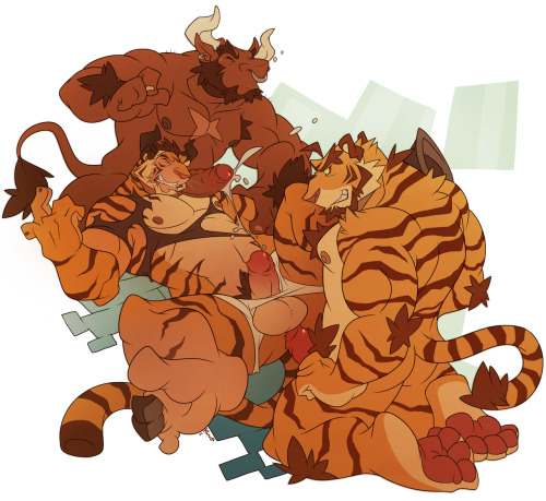 drawingkuma:  Bull & Tiger TF initiation 