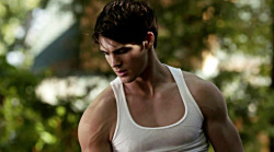 Steven R. McQueen