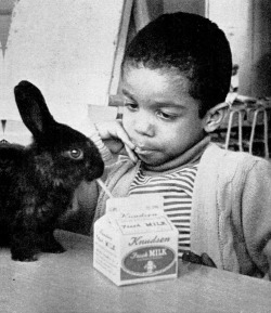 Appearing vexed about ‘sharing’ his milk with pet