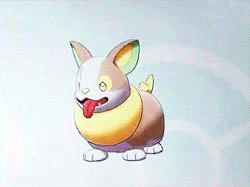 imabloodymartian: hebegb:  im-pikachu:  Yamper the new dog Pokémon!