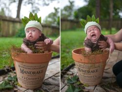 andinthemeantimeconsultabook:  George’s First Halloween. Glad