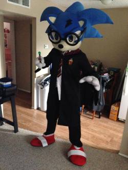 too-much-sonic:  cosplay-gamers:  The many faces of Sonic the