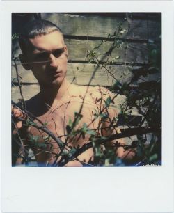 birdclaws:  Polaroid of @logantheleo  #polaroid #roidweek #polaroidweek