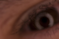 reverse macro of my eye