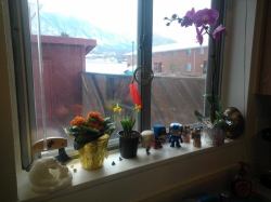 I decorated my kitchen window. The ulu with what looks like the