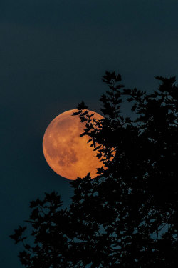 plasmatics-life:  Super-moon [via/more] By Livingsta 