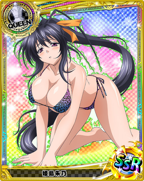 levantein:  Summer Hols is Here !!!And I share you all most beautiful girls of Highschool DxD.