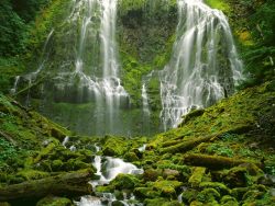 opticallyaroused:  Proxy Falls, Oregon 