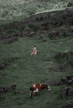 lmainla:  mans-paradise:    they’re making a moo-vie