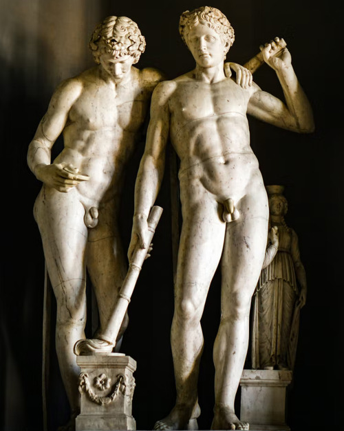 antonio-m:  Castor and Pollux (or Polydeukes) are twin half-brothers