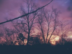 anotic:  good morning from atlanta, georgia