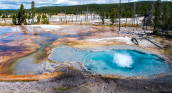 nordvarg:   Yellowstone National Park \ Gerry Mulligan    