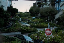 reflectful:  Lombard street - SF 🌿 i actually remember going