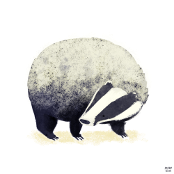 sketchinthoughts:  badger warm up!
