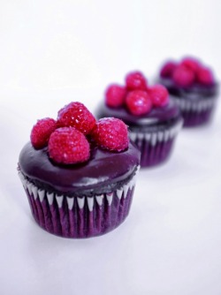 heckyeahvegancupcakes:  Fresh Raspberries and Chocolate Cupcakes