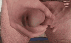 Excellent Cock-Tails