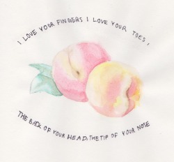 cellophaneflowergirl:  peach // the front bottoms