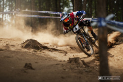 Dirty Two Wheels (Dilettante wanderluster)
