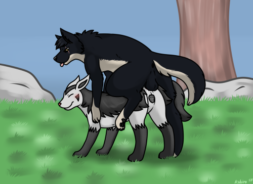 lucariofan97:  Female lucario and Mightyena by request 