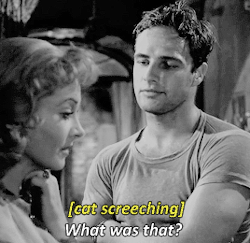 vintagegal:  A Streetcar Named Desire (1951) dir. Elia Kazan