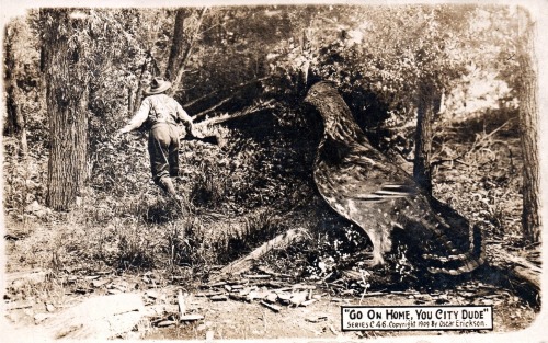 Le faisan géant. Les photomontages des années 1910. 