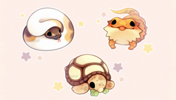 fluffysheeps:Thinking about reptiles 🐍🦎🐢